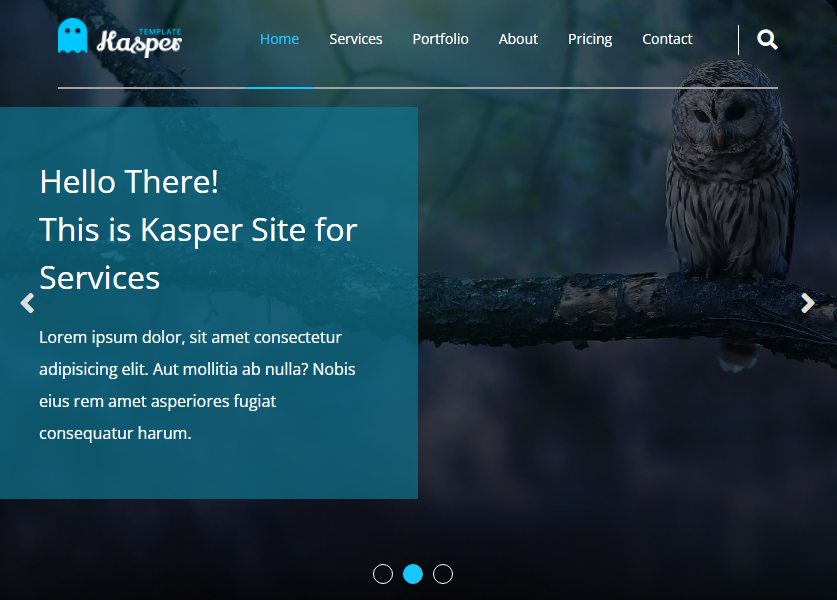 Kasper Company